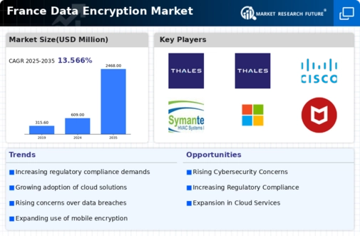 France Data Encryption Market Infographic