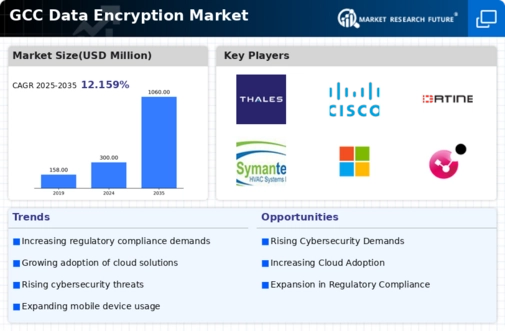 GCC Data Encryption Market Infographic