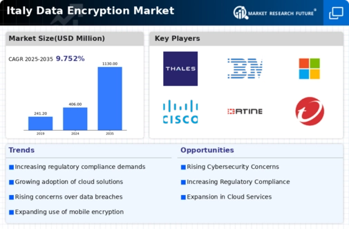 Italy Data Encryption Market Infographic