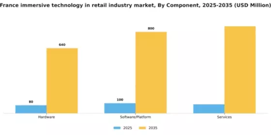 France Immersive Technology In Retail Industry Market Segment Image 1