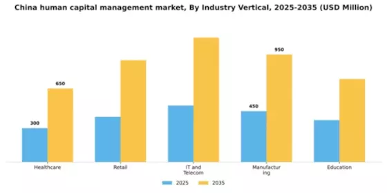 China Human Capital Management Market Segment Image 1