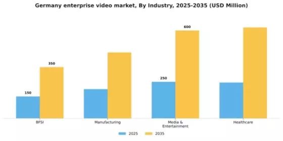 Germany Enterprise Video Market Segment Image 3