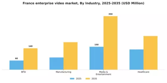 France Enterprise Video Market Segment Image 3