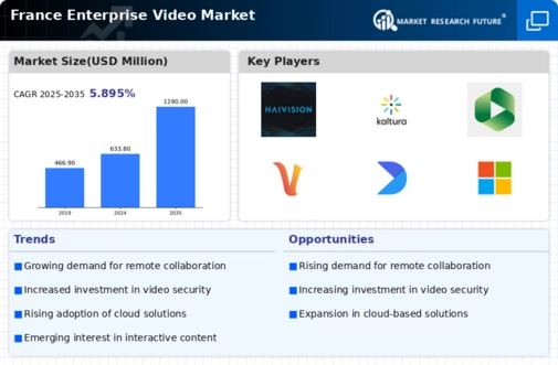 France Enterprise Video Market Infographic