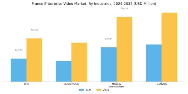 France Enterprise Video Market Segment Image 3