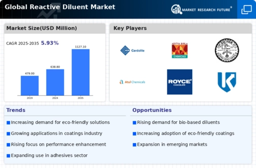Reactive Diluents Market Infographic