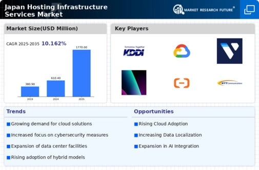 Japan Hosting Infrastructure Services Market Infographic