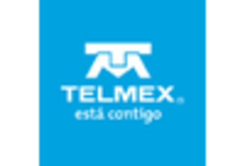 Argentina Hosting Infrastructure Services Market key player