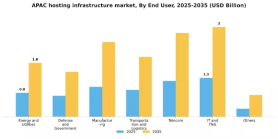 APAC Hosting Infrastructure Services Market Segment Image 1