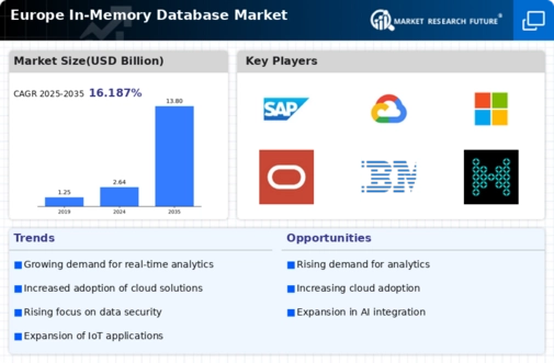 Europe In Memory Database Market Infographic