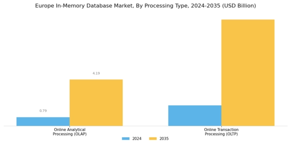 Europe In Memory Database Market Segment Image 1