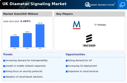 UK Diameter Signaling Market Infographic