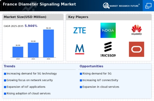 France Diameter Signaling Market Infographic