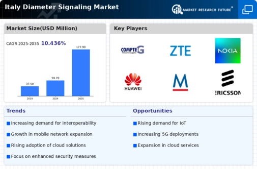 Italy Diameter Signaling Market Infographic