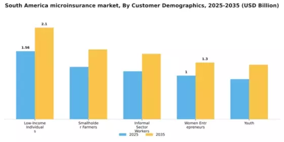 South America Microinsurance Market Segment Image 0