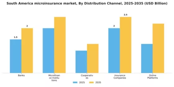 South America Microinsurance Market Segment Image 1