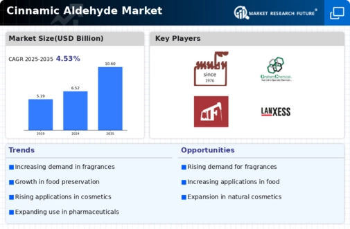 Cinnamic Aldehyde Market Infographic