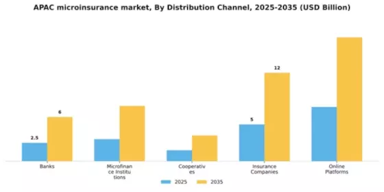 APAC Microinsurance Market Segment Image 1