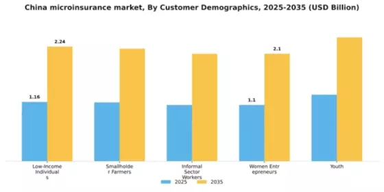 China Microinsurance Market Segment Image 0