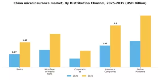 China Microinsurance Market Segment Image 1