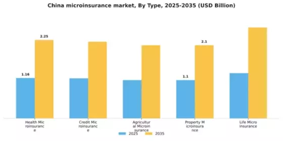 China Microinsurance Market Segment Image 3