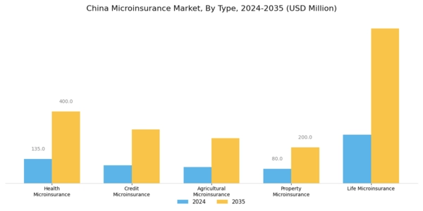 China Microinsurance Market Segment Image 0