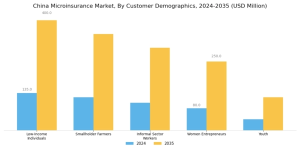 China Microinsurance Market Segment Image 2