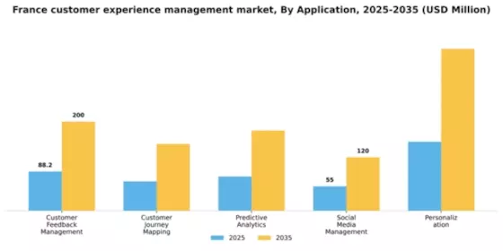 France Customer Experience Management Market Segment Image 0