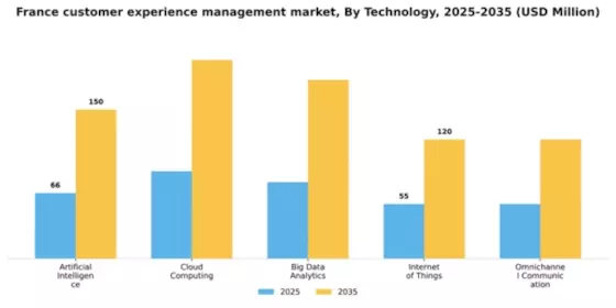 France Customer Experience Management Market Segment Image 2