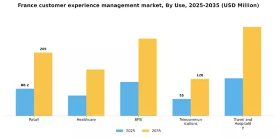 France Customer Experience Management Market Segment Image 3