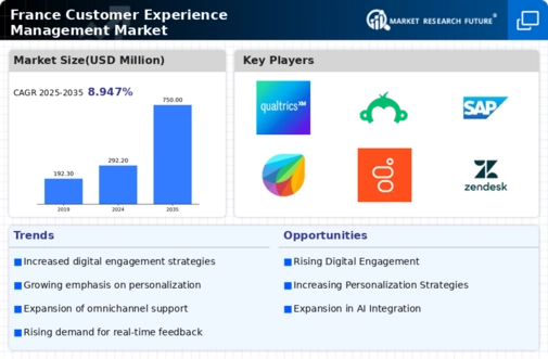 France Customer Experience Management Market Infographic