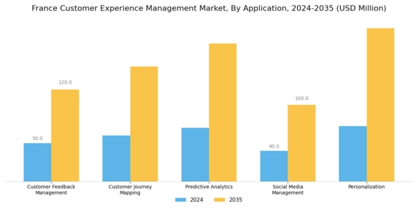 France Customer Experience Management Market Segment Image 1