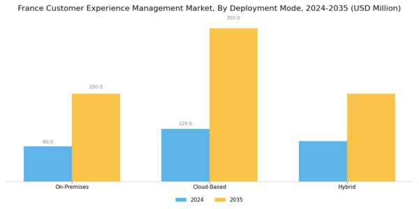France Customer Experience Management Market Segment Image 3