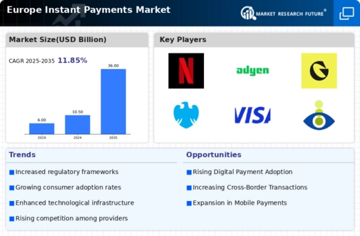 Europe Instant Payments Market Infographic
