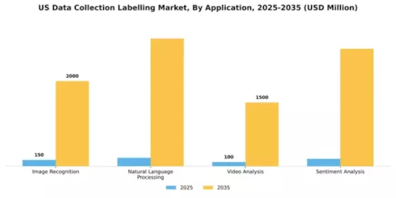 US Data Collection Labelling Market Segment Image 0