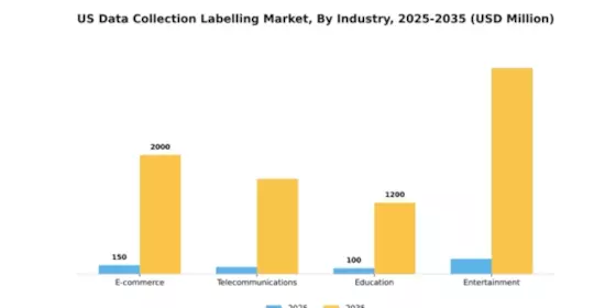 US Data Collection Labelling Market Segment Image 3