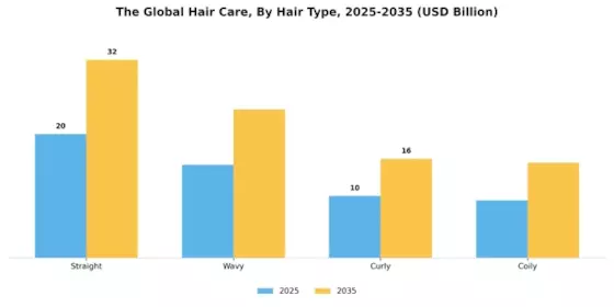 Hair Care Market Segment Image 1