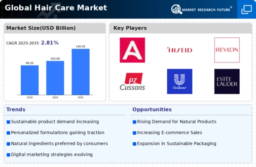 Hair Care Market Infographic