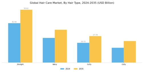 Hair Care Market Segment Image 1