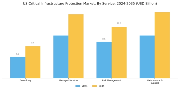 US Critical Infrastructure Protection Market Segment Image 1
