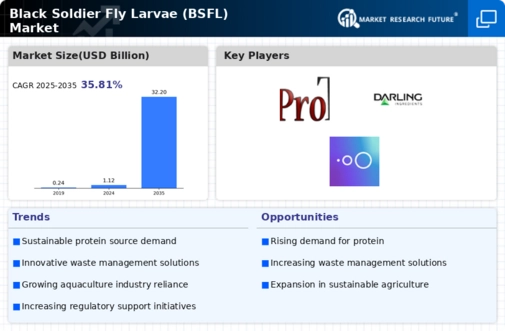 Black Soldier Fly Larvae Market  Infographic