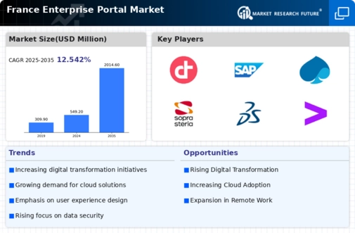 France Enterprise Portal Market Infographic