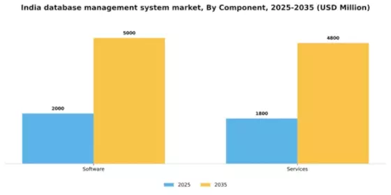 India Database Management System Market Segment Image 0