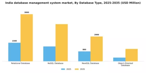 India Database Management System Market Segment Image 1