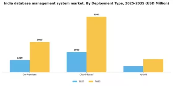 India Database Management System Market Segment Image 2