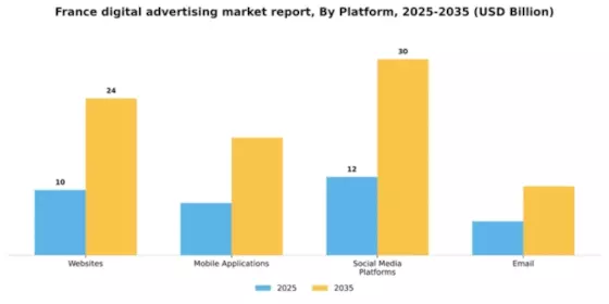 France Digital Advertising Market Segment Image 1