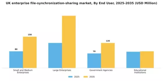 UK Enterprise File Synchronization Sharing Market Segment Image 2