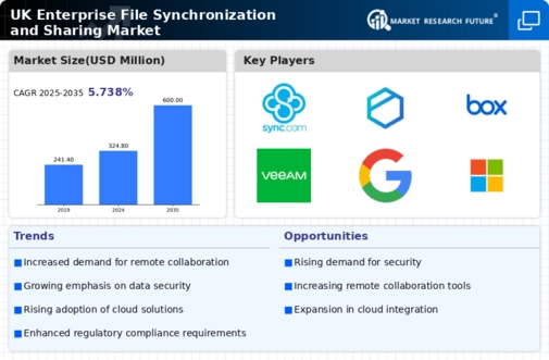 UK Enterprise File Synchronization Sharing Market Infographic