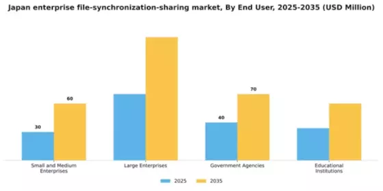 Japan Enterprise File Synchronization Sharing Market Segment Image 2