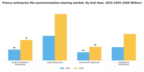 France Enterprise File Synchronization Sharing Market Segment Image 2